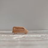 Bosque con furgoneta viajera