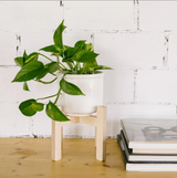 Soporte para macetas de madera LA SELVA