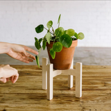 Soporte para macetas de madera LA SELVA