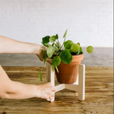 Soporte para macetas de madera LA SELVA