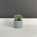 Maceta Burbu by Mendelek