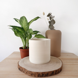 Macetero Prila by Mendelek