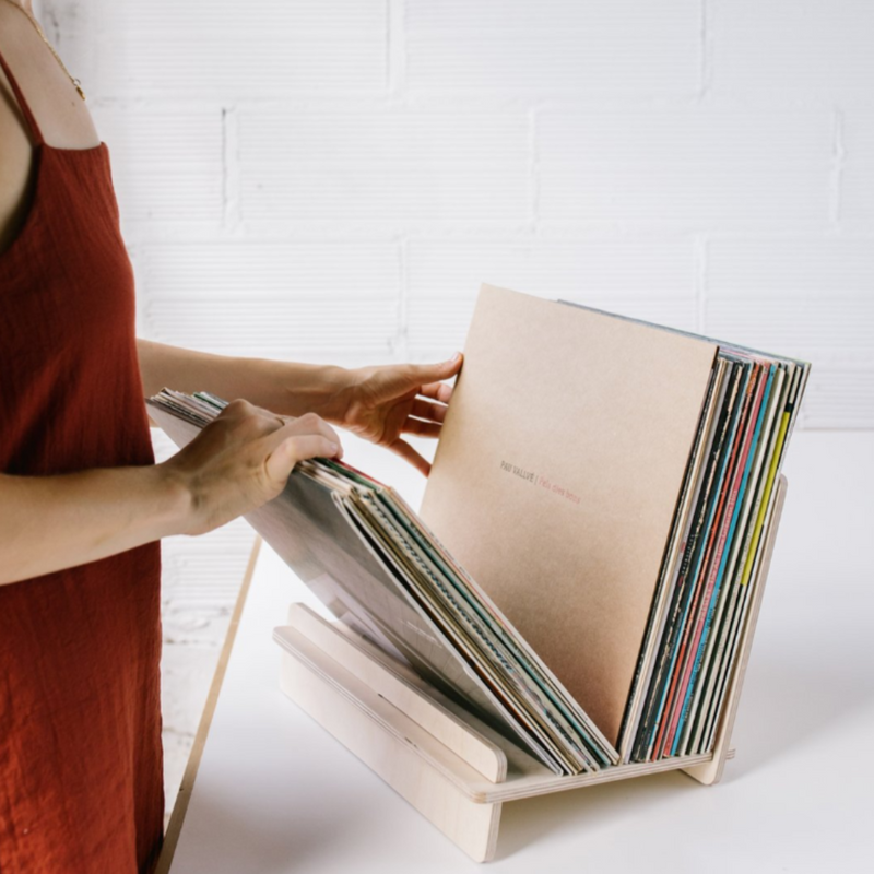 Librería y Soporte para discos de vinilo LA GATZARA