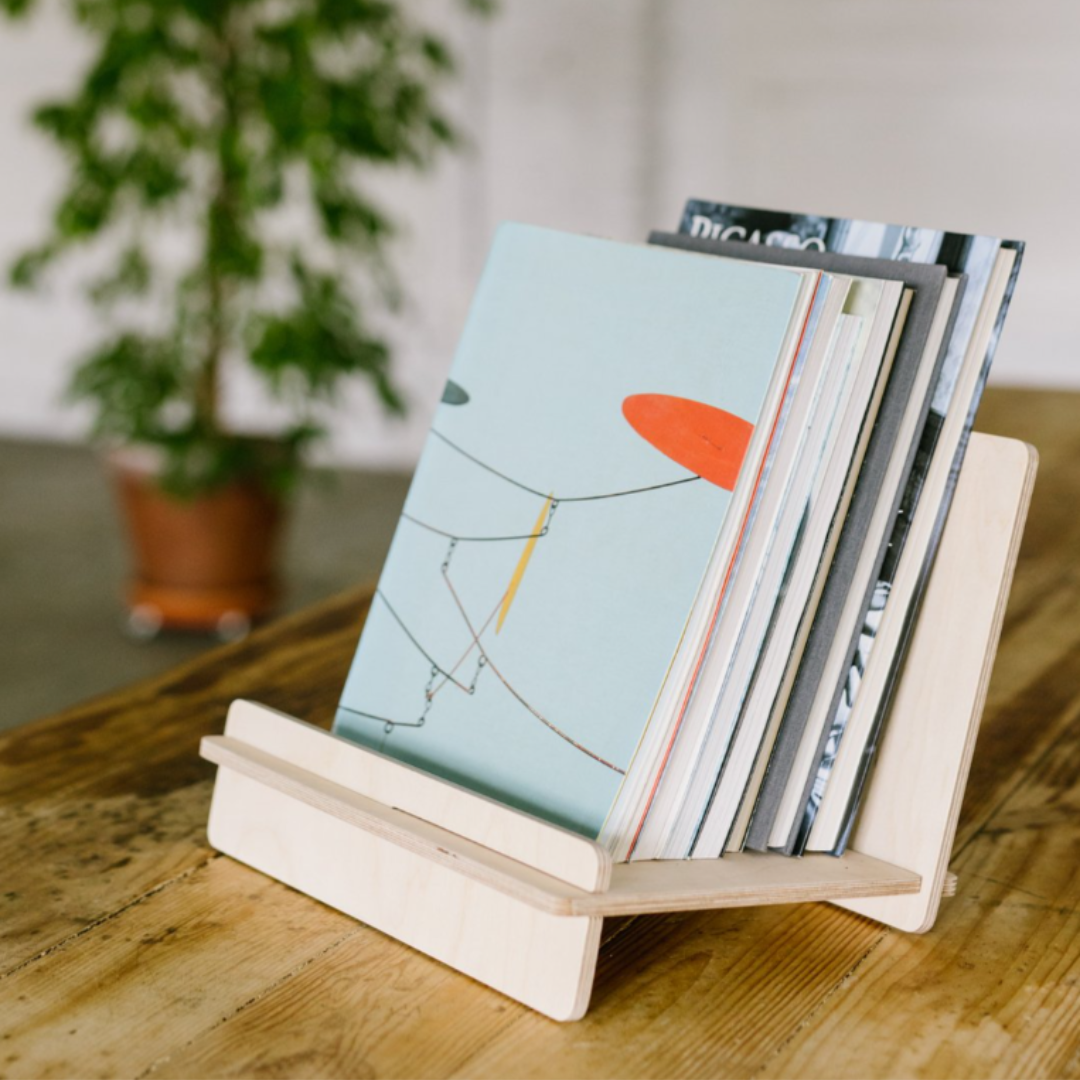Librería y Soporte para discos de vinilo LA GATZARA