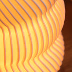 Wavy Adjustable Lamp