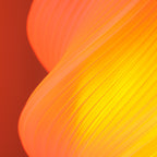 Adjustable Flame Lamp