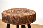 Hokku Stool Side Table Art Brut Collection 