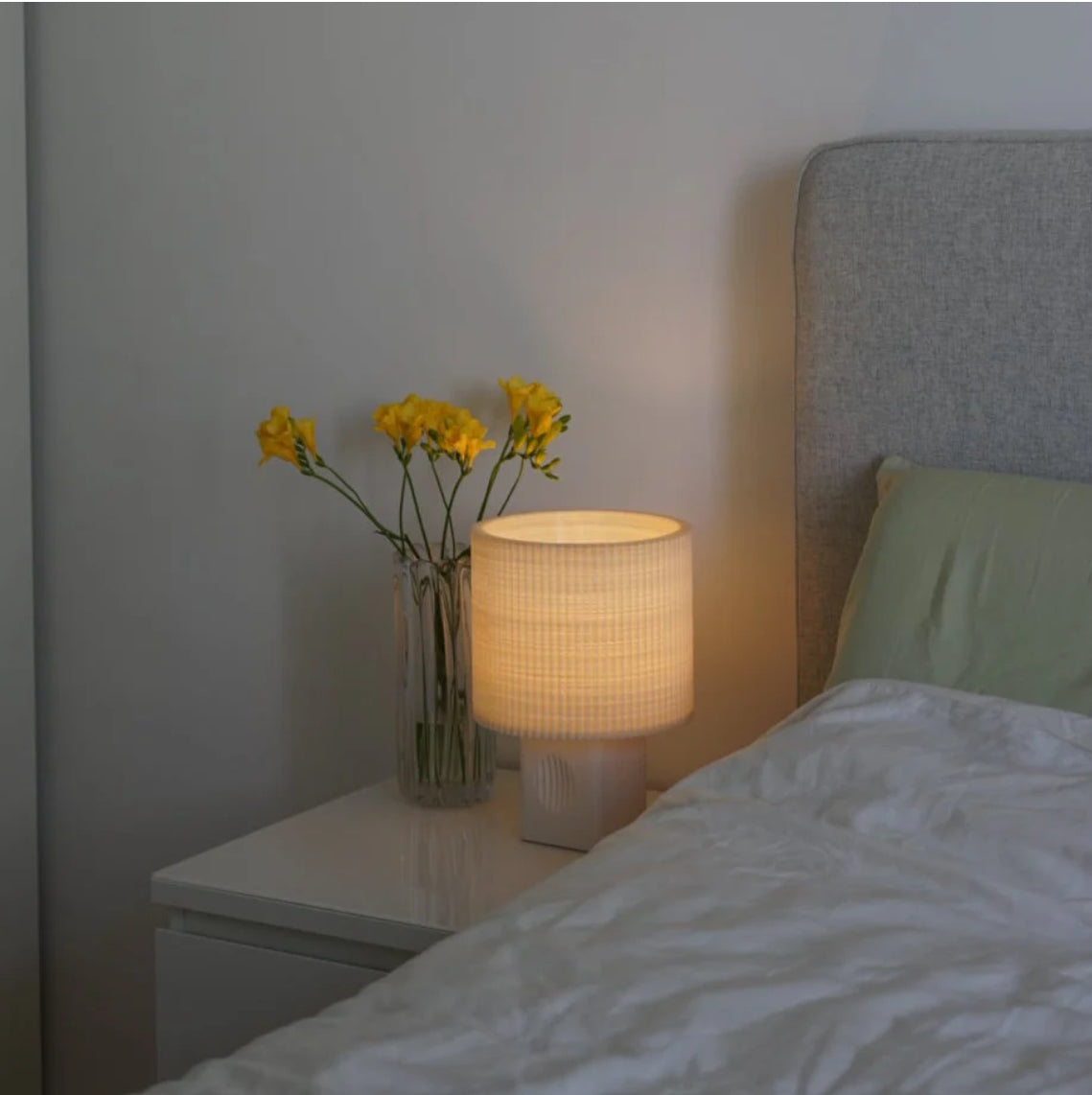 Merak lamp