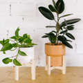 LA JUNGLE wooden plant stand 