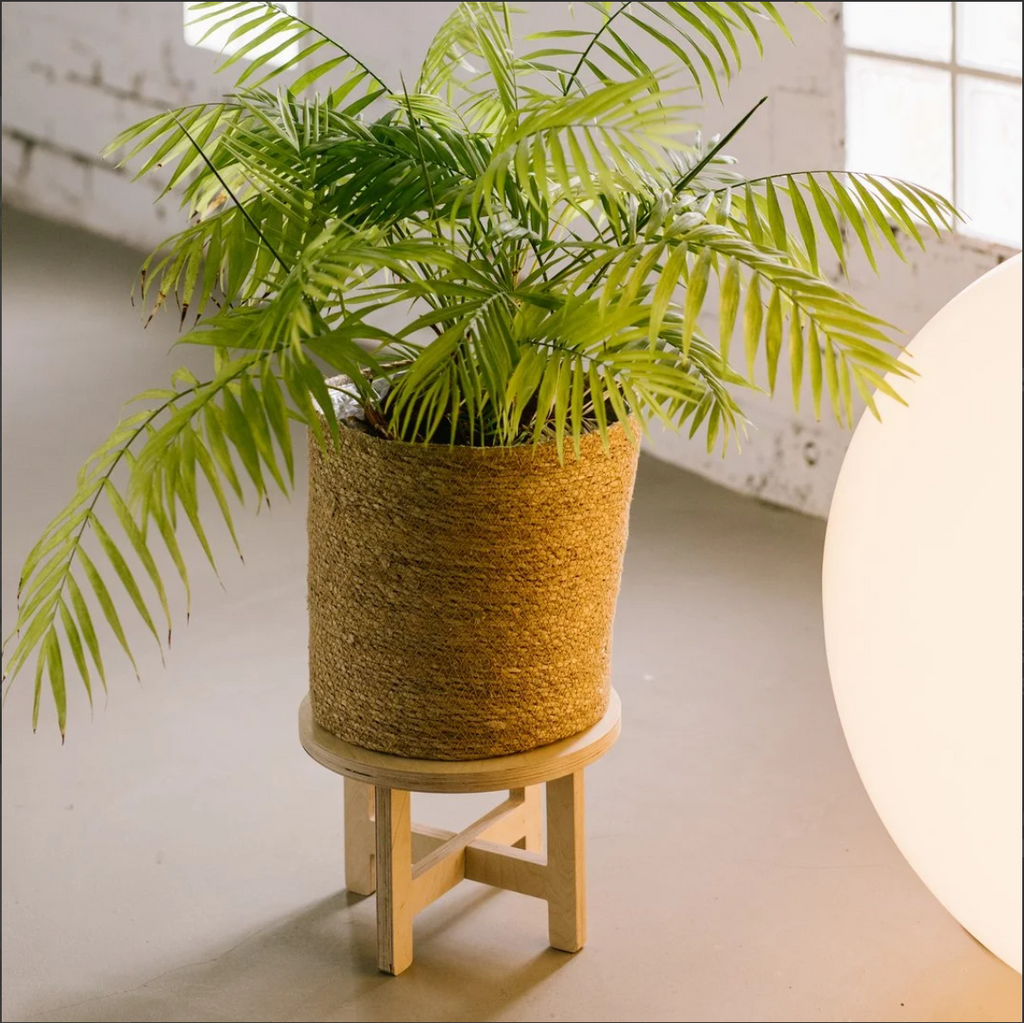 LA JUNGLE wooden plant stand + 
