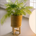LA JUNGLE wooden plant stand + 