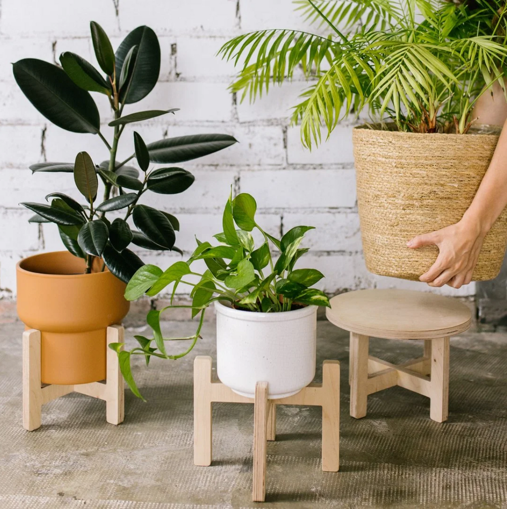 LA JUNGLE wooden plant stand + 