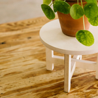 LA JUNGLE wooden plant stand + 