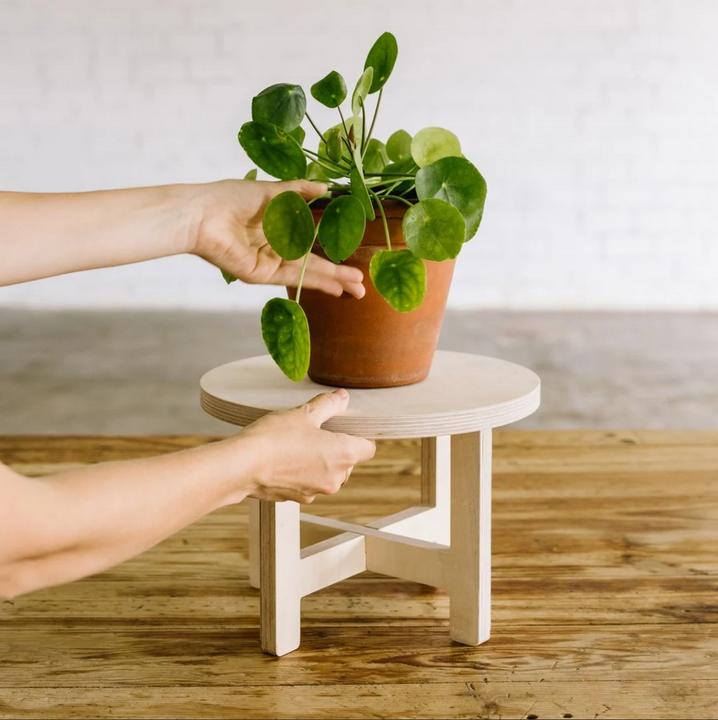 LA JUNGLE wooden plant stand + 