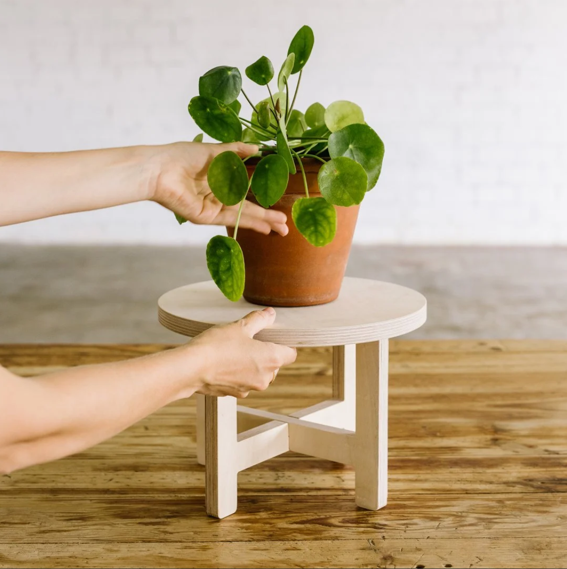 Soporte para macetas de madera LA SELVA +