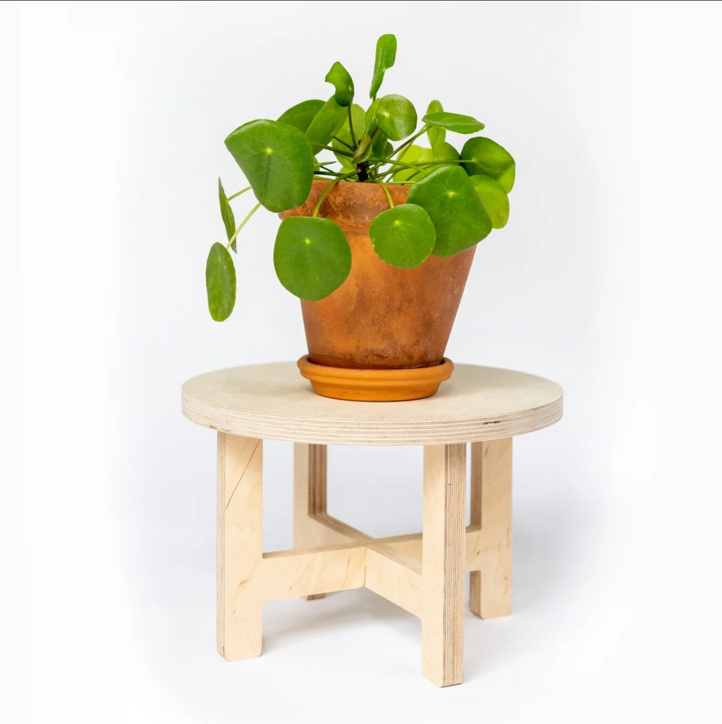 LA JUNGLE wooden plant stand + 