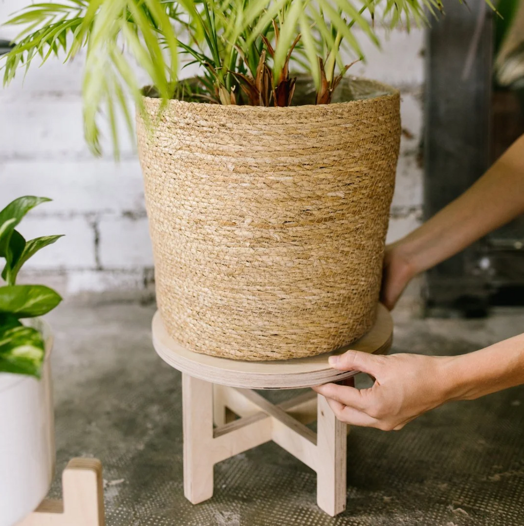 LA JUNGLE wooden plant stand + 