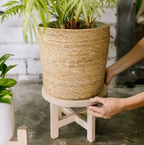 LA JUNGLE wooden plant stand + 