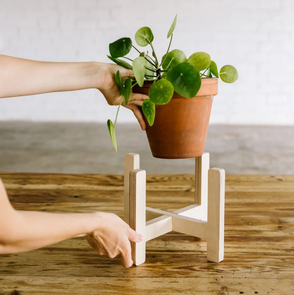 LA JUNGLE wooden plant stand 