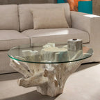 Mesa de centro Madera Raices Blanca