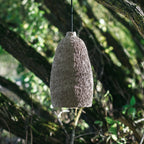 Conical Pendant