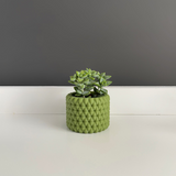 Maceta Burbu by Mendelek