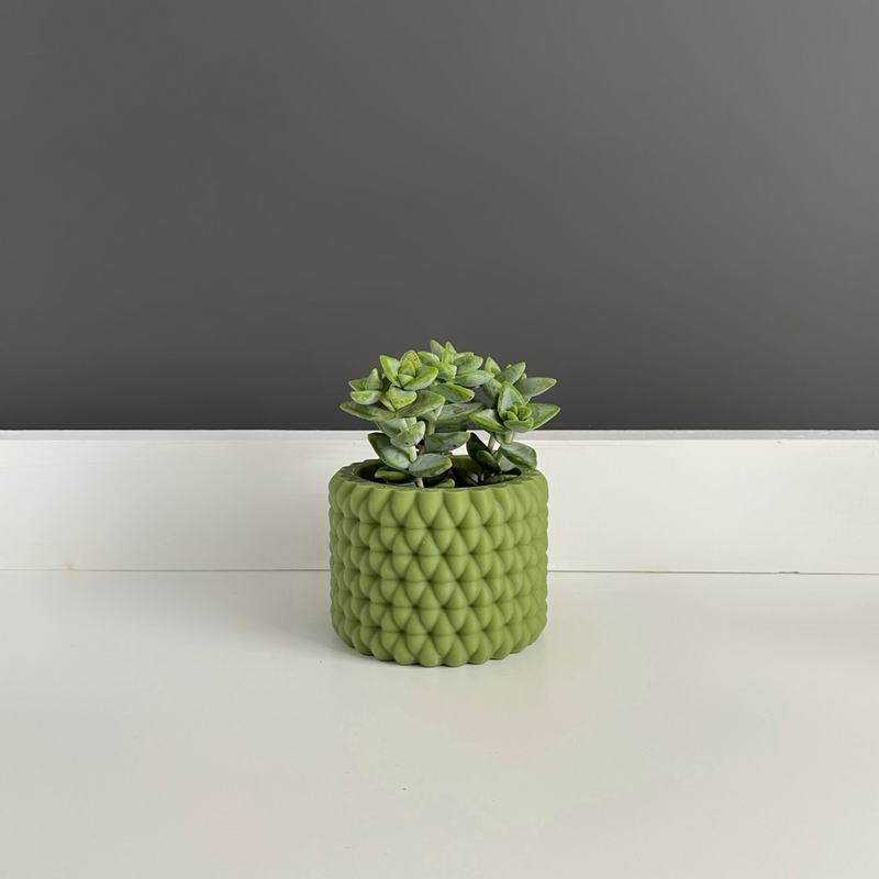 Maceta Burbu by Mendelek