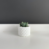 Maceta Burbu by Mendelek