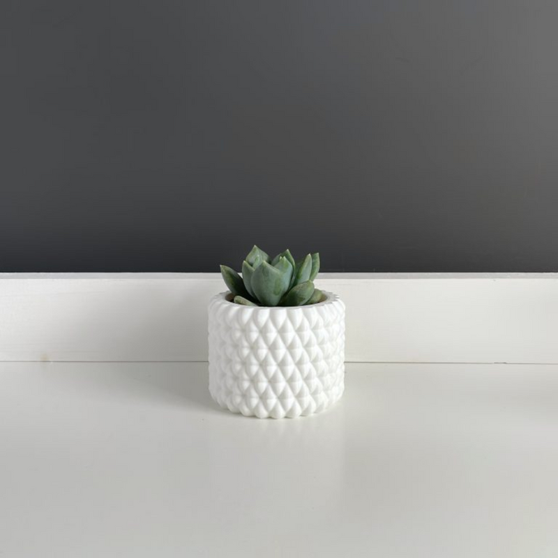 Maceta Burbu by Mendelek