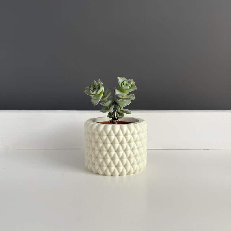 Maceta Burbu by Mendelek