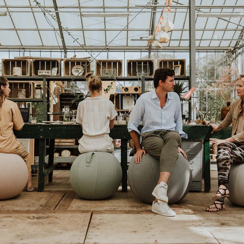 Ball Smart Sitting SOVA by Vluv