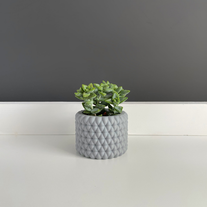 Maceta Burbu by Mendelek