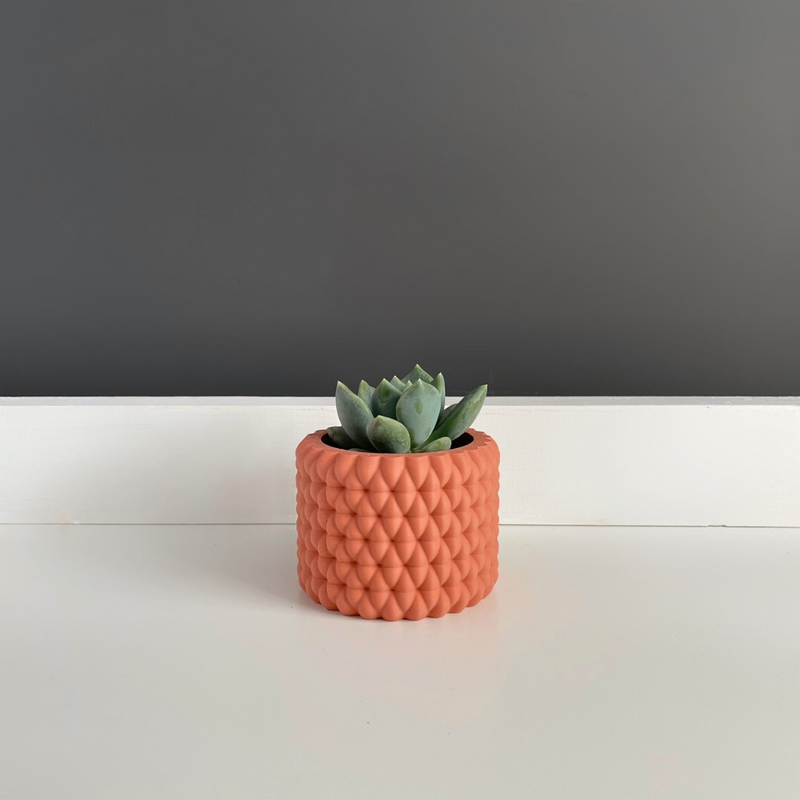 Maceta Burbu by Mendelek