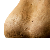 Lámpara Colgante Sensi Terra by Maria Fiter