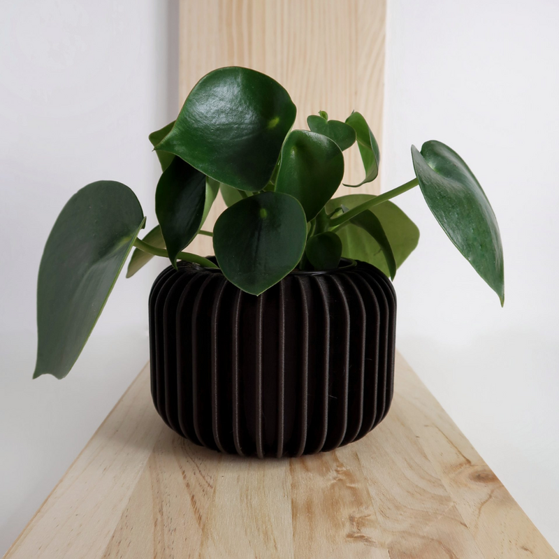 Macetero Vorena by Mendelek