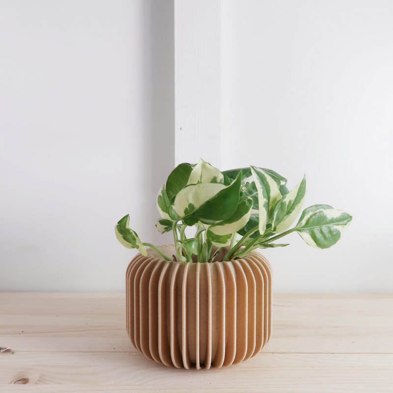 Macetero Vorena by Mendelek