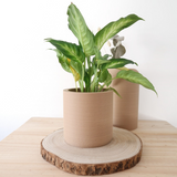 Macetero Prila by Mendelek